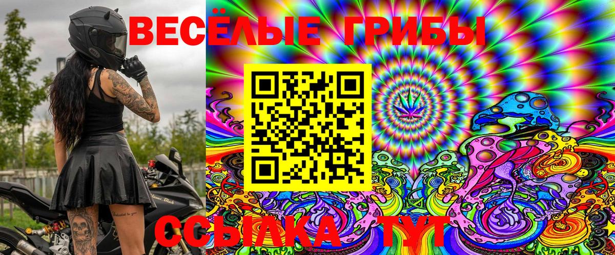 Псилоцибиновые грибы Cubensis  Вход с VPN  Петропавловск-Камчатский  Галлюциногенные грибы Magic Shrooms 