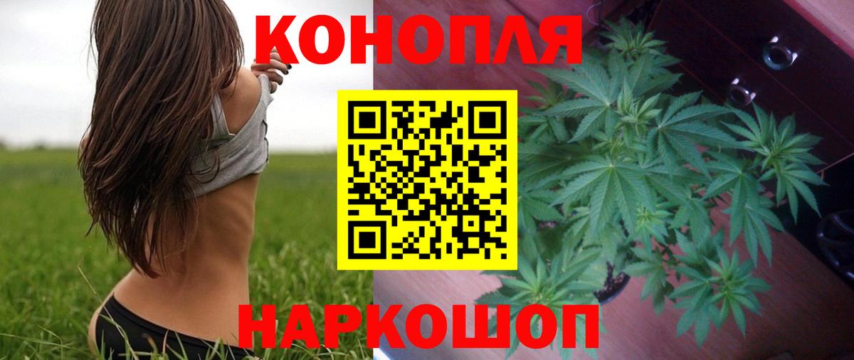 Бошки марихуана гибрид  Канабис OG Kush  Вход с VPN  Шишки марихуана планчик  Петропавловск-Камчатский 